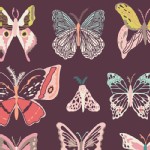 Art Gallery Fabrics - Winged - Wingspan in Fig