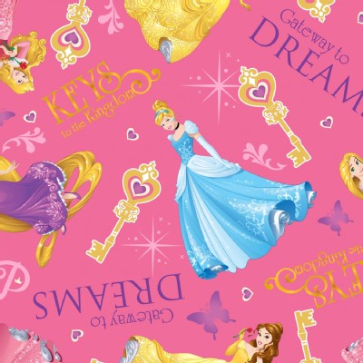 Character Prints - Princess - Princess Gateway to Dreams in Pink