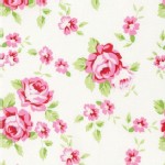 Free Spirit - Rambling Rose - Happy Rose in White