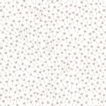Lewis And Irene - Make A Wish - Seeds in White Mist