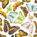 Michael Miller Fabrics - French Journal - Papillon in White