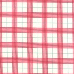 Moda Fabrics - Return Winters Lane - Checkers in Snow Berry